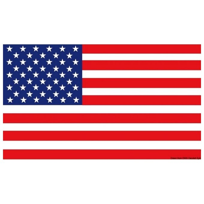 Bandiera USA 20 X