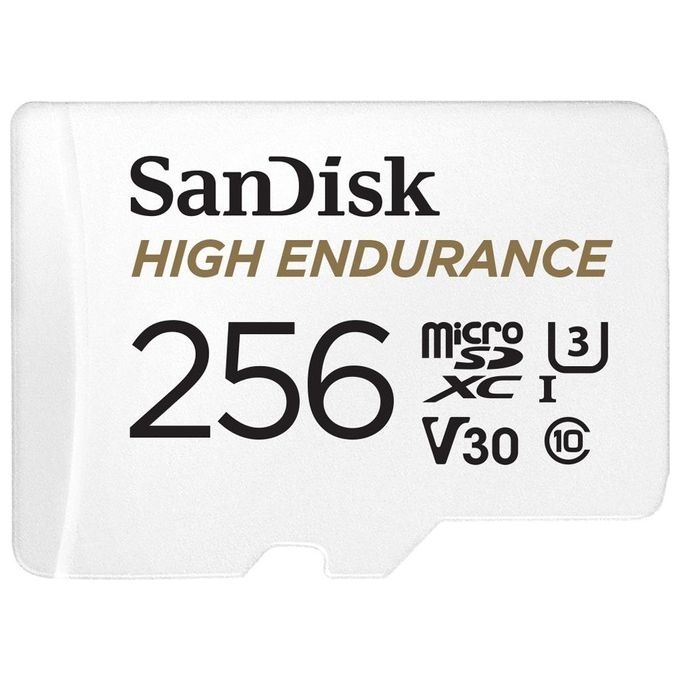SanDisk High Endurance Scheda