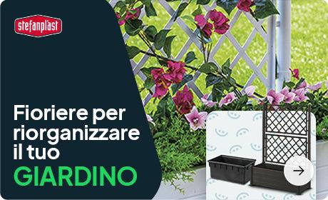 Banner immagine promozionale