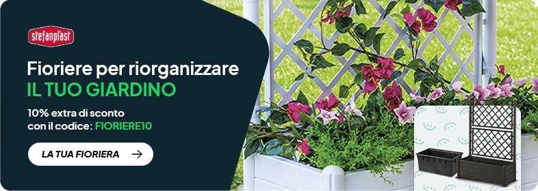 Banner immagine promozionale