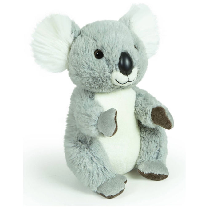 Decar Morbidelli Koala Nico