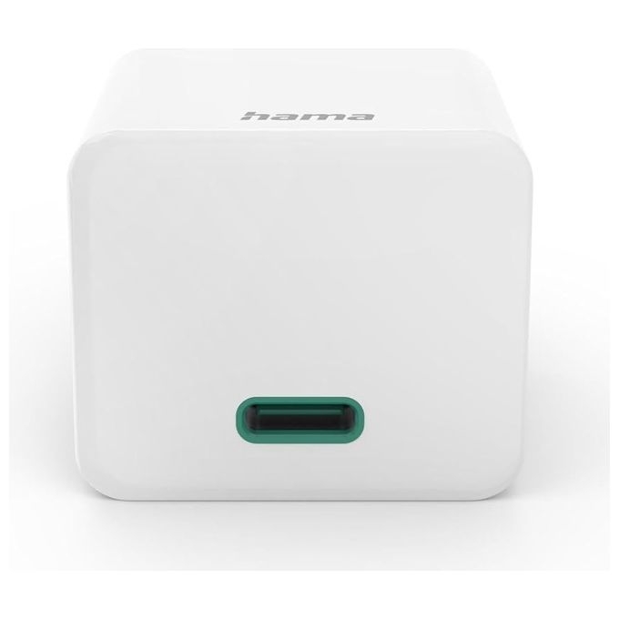 Hama Caricabatterie Fast Charger
