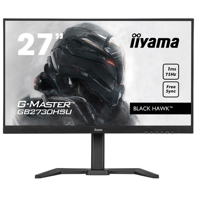 Iiyama G-MASTER Monitor PC