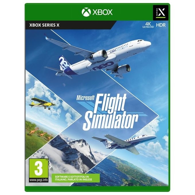Microsoft Flight Simulator Basic