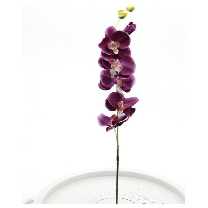 Orchidea In Plastica 81