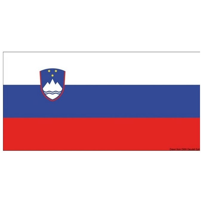 Bandiera Slovenia 20 X