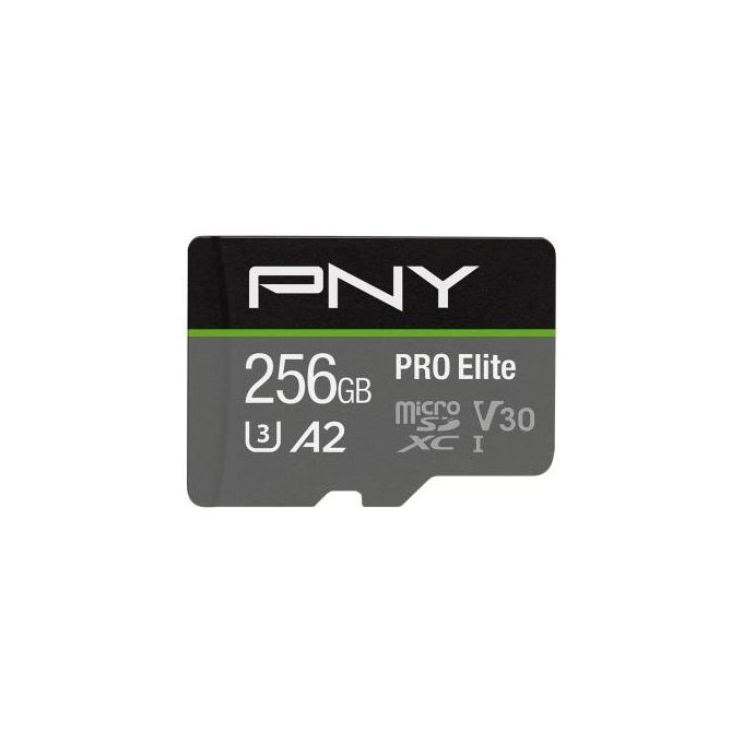 PNY P-SDU256V32100PRO-GE Memoria Flash