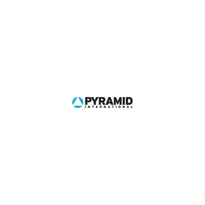 Pyramid Quadro 3D Icone