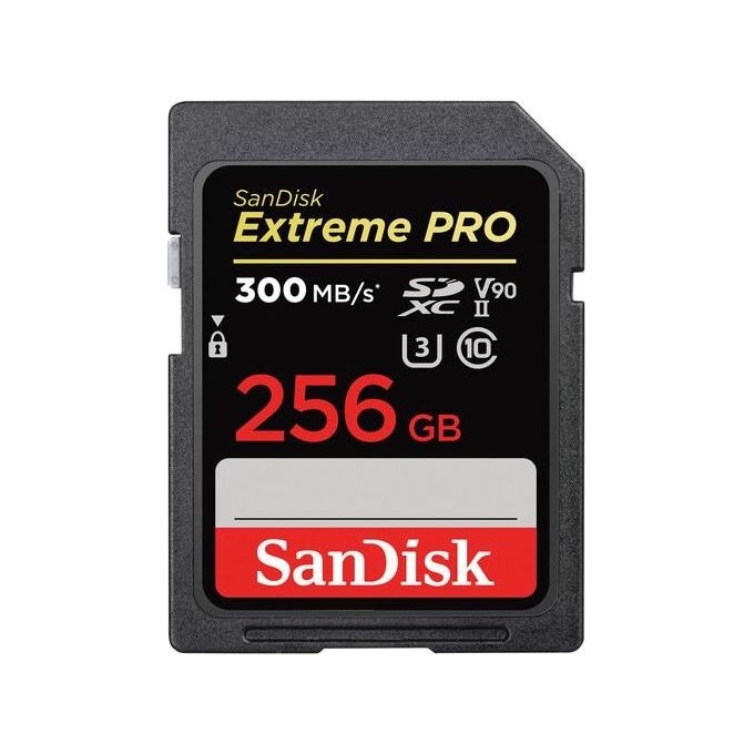 SanDisk Extreme PRO 256Gb