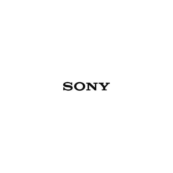 Sony NWE394R Lettore Digitale