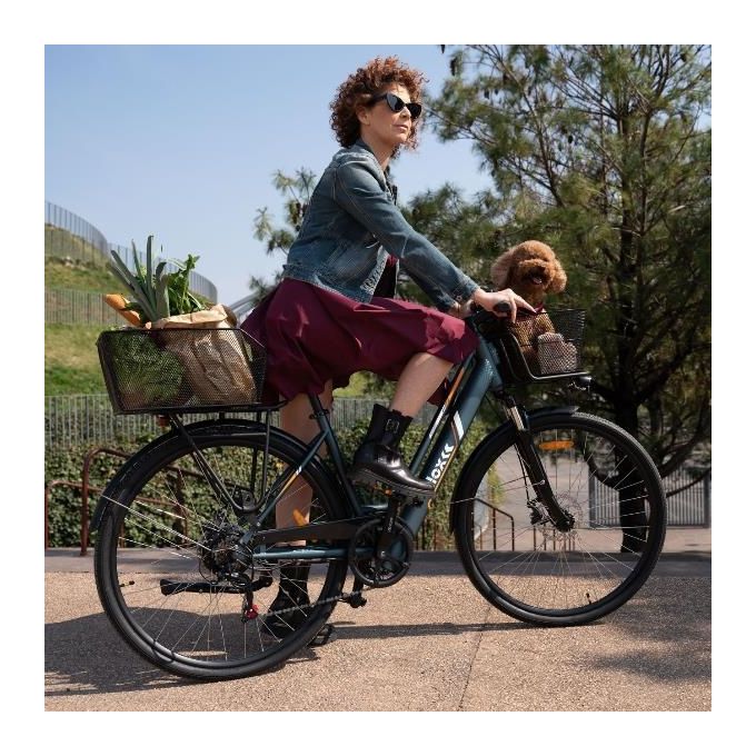 Nilox 30NXEBCLV1 e-Bike 36V 10ah 28x1.75'' Cargo Light