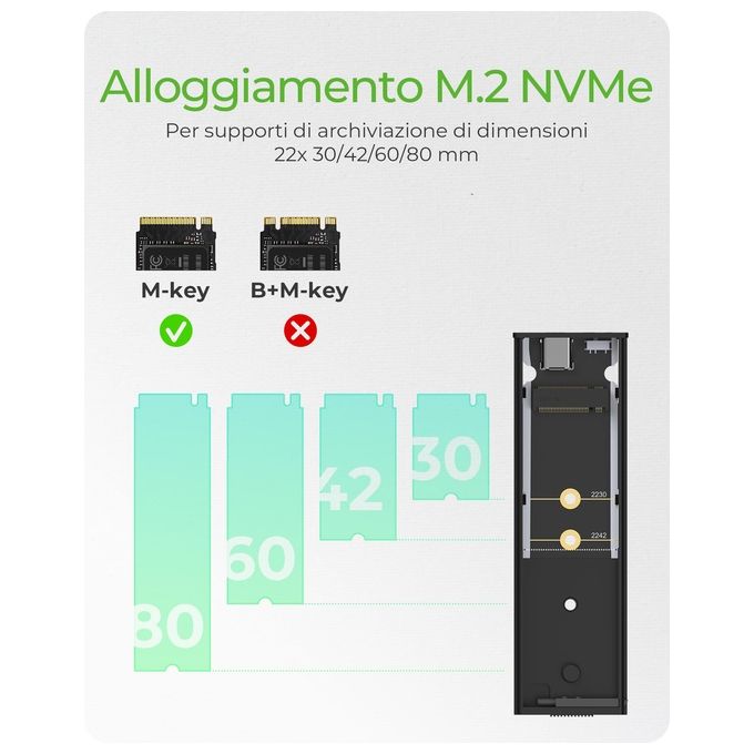RaidSonic ICY BOX IB-1807MT-C31 USB tipo C M.2 NVMe SSD