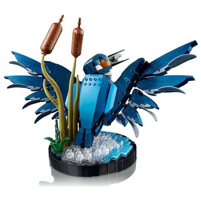 LEGO Icons 10331 Martin Pescatore, Kit di Modellismo per Adulti, Idea Regalo per Arredamento Casa o Ufficio, Hobby Creativo