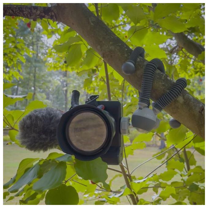 Joby PodZilla Large Kit Treppiede Flessibile con Testa a Sfera Inclusa e Attacco GripTight 360 Phone Grigio