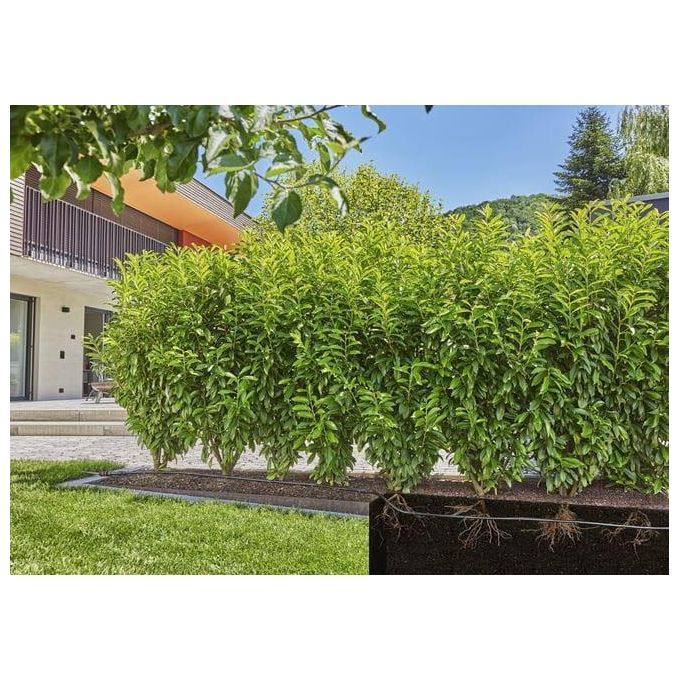 Gardena Micro-Drip-System KIT_ Siepe-Cespugli 25mt