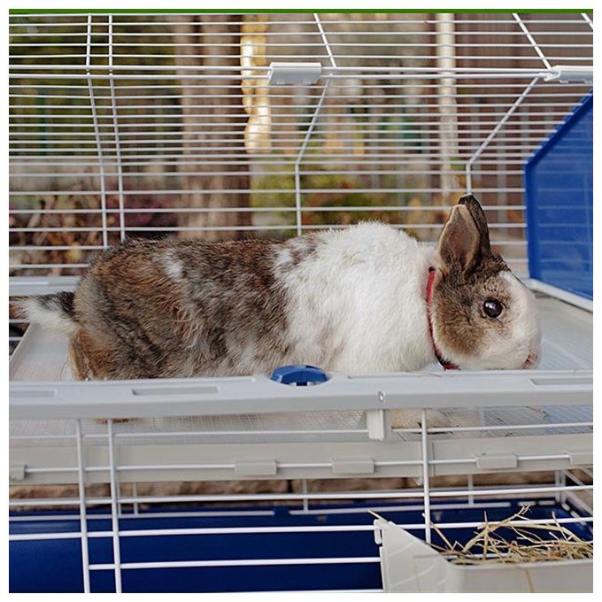 Ferplast Gabbia per Conigli Gabbia per Piccoli Animali BARN 80, 2 Piani, Tetto Apribile, Accessori e Adesivi Inclusi