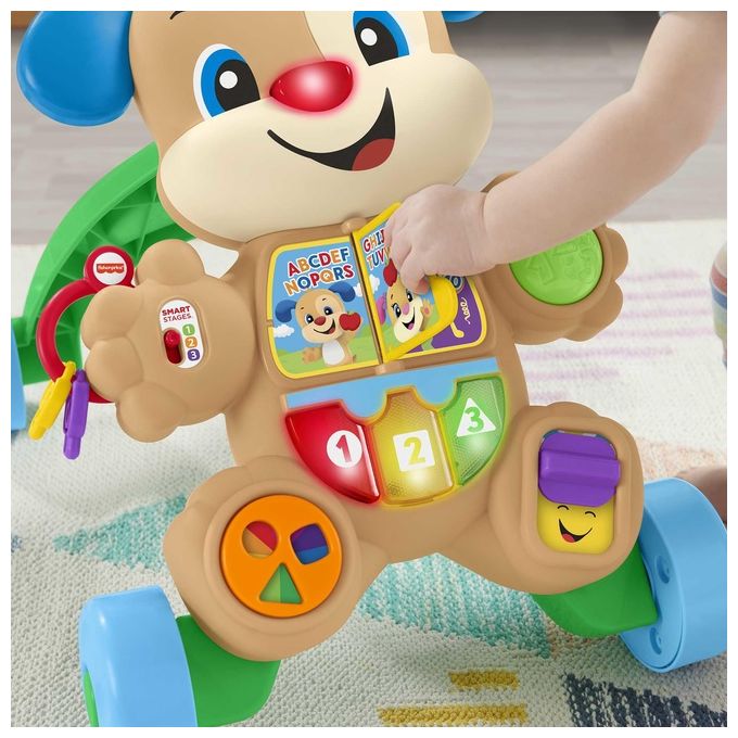 Fisher Price Cagnolino Primi Passi Multicolore