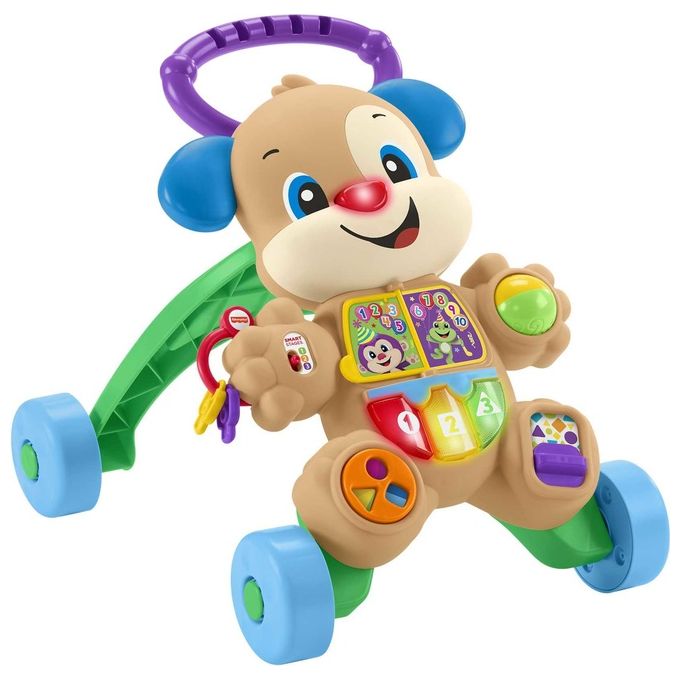 Fisher Price Cagnolino Primi Passi Multicolore