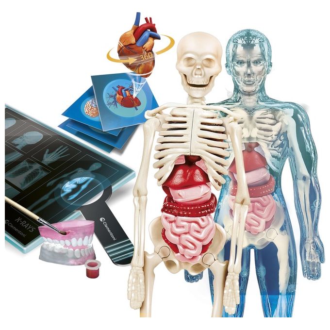 Clementoni Gioco Educativo Scienza e Gioco Anatomia Super