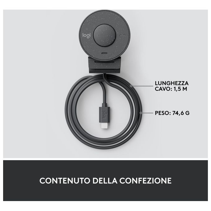 Logitech Brio 300 Webcam 2 MP 1920x1080 Pixel USB-C Grafite