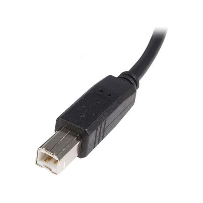 StarTech.com Cavo Usb 2.0 A A BM-m 3 M