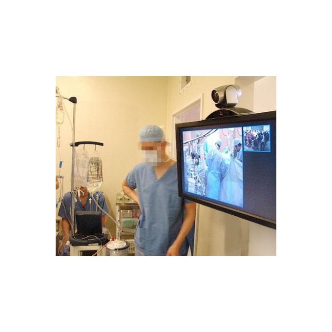 Ergotron Interactive tv arm play 40 (small 18-40 lbs) Polished