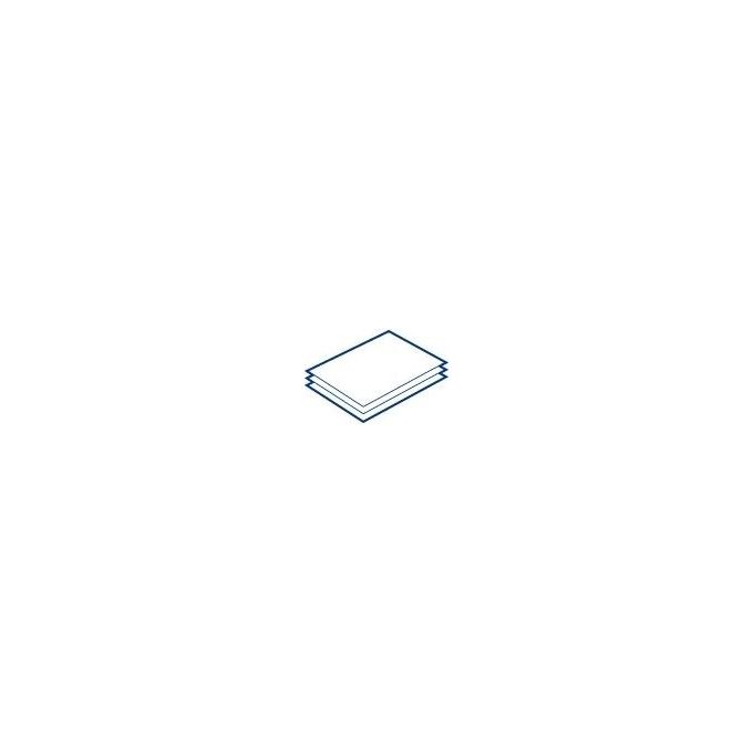 Epson Standard Proofing Paper Rotoli