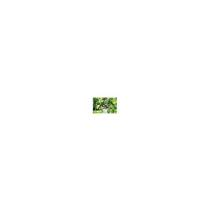 Fiskars PowerGear L77 69cm Troncarami a Incudine per Legno Secco e Duro Diametro di Taglio 5cm
