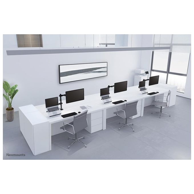 Newstar Supporto da Scrivania per Monitor e Notebook