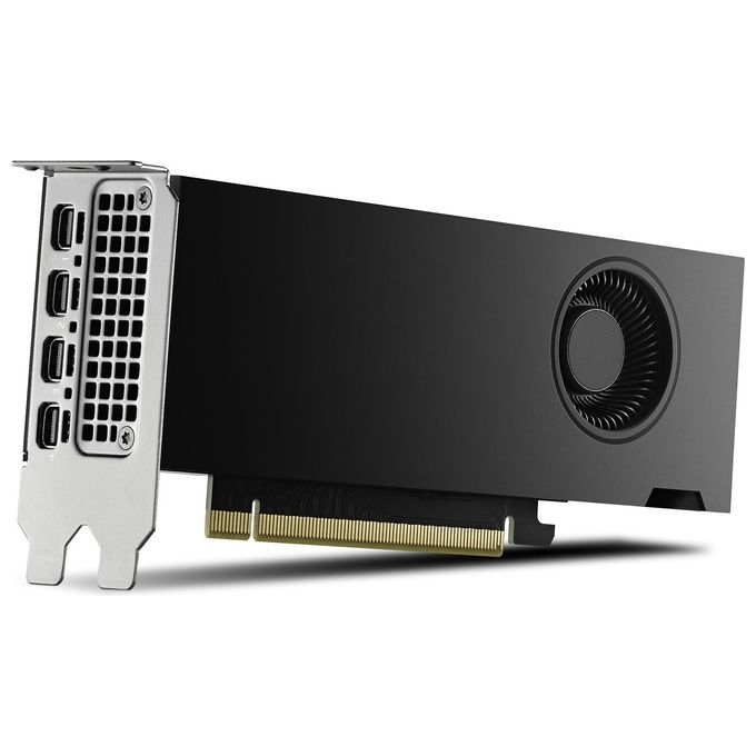 PNY Scheda Grafica 16GB RTX 2000 Ada 4x mDP LP Smallbox (without Adapter)