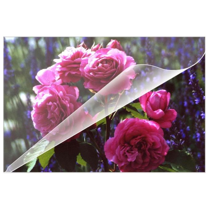 Olympia Buste di Plastificazione Kit 100 Pezzi