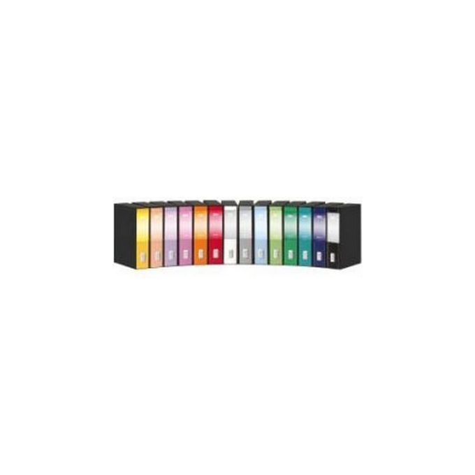 Rexel Dox Cf6 dox 2 registratore Verde Mare