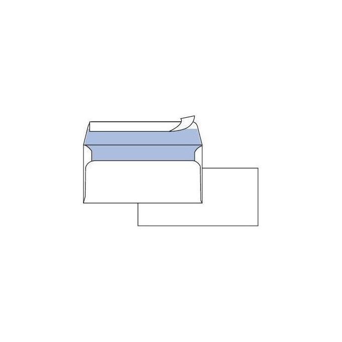 Pigna Cf500buste Office Strip S Fin 11x23