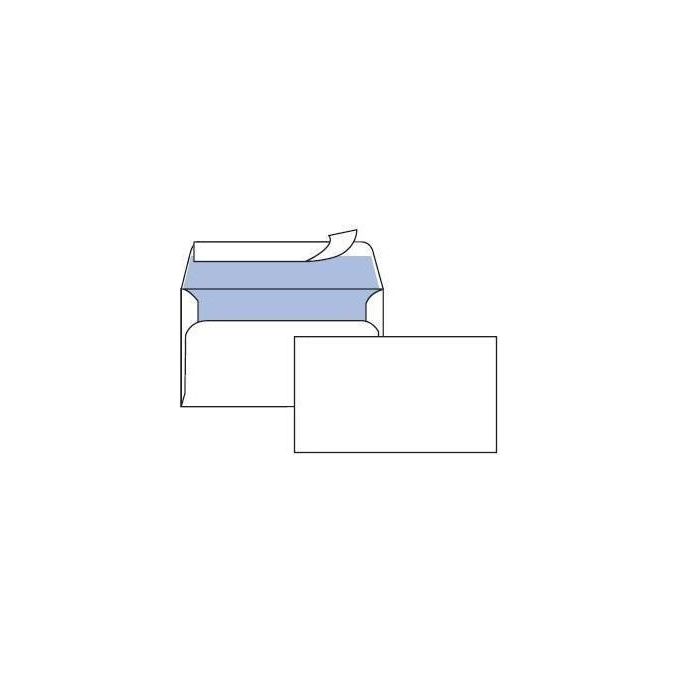 Pigna Cf25 Buste Edera S Fin 11.4x16.2cm