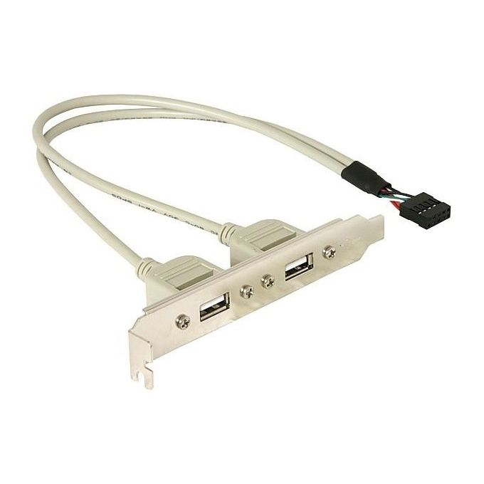 DeLOCK Slotbracket 1x Internal USB 5pin  2x USB2.0 External