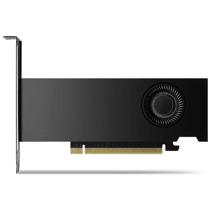 PNY Scheda Grafica 16GB RTX 2000 Ada 4x mDP LP Smallbox (without Adapter)