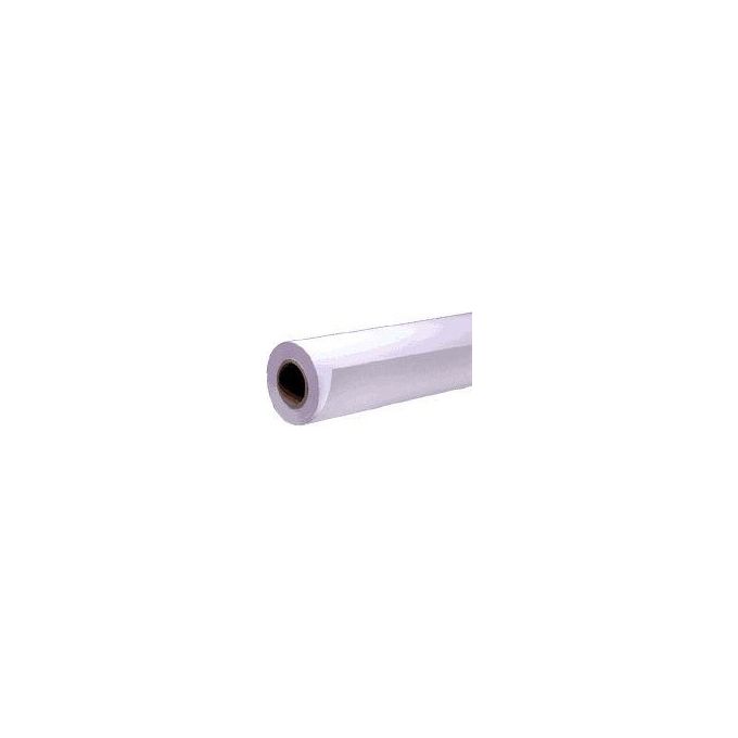 Epson carta foto semilucida premium rotoli 40.64cmx30.5m