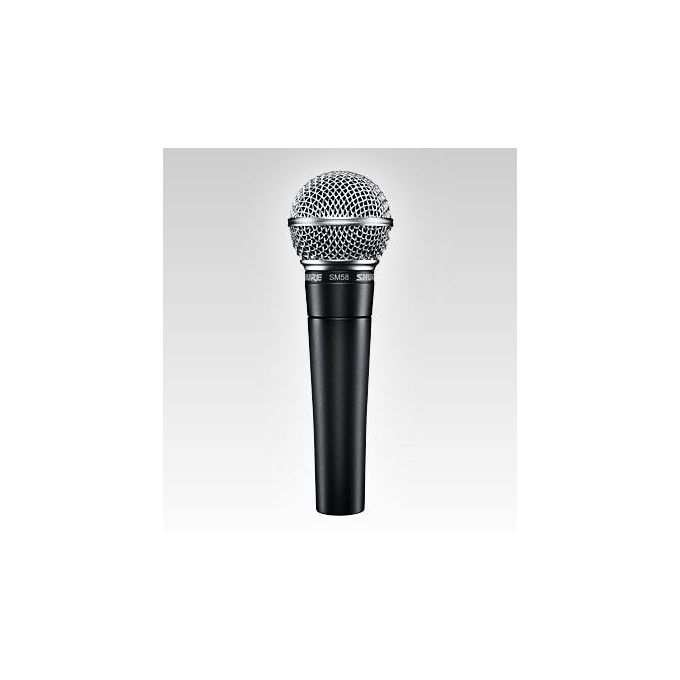 Shure SM58 Microfono a Filo con Interruttore Nero-Argento