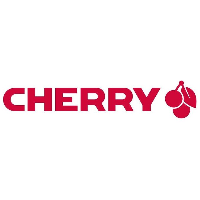 Cherry KC 1000 Tastiera Usb Qwertz Tedesco Grigio