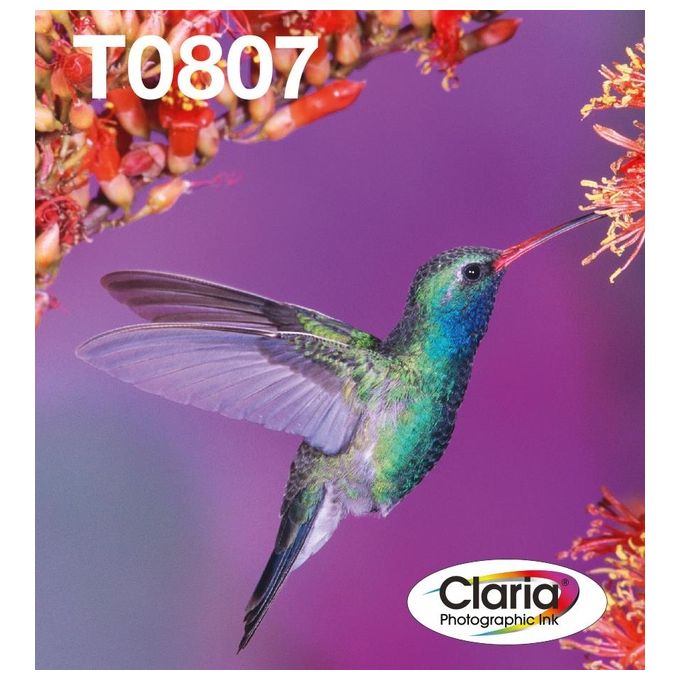 Epson Multipack Ink Colibri T0807