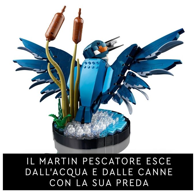 LEGO Icons 10331 Martin Pescatore, Kit di Modellismo per Adulti, Idea Regalo per Arredamento Casa o Ufficio, Hobby Creativo