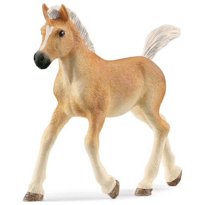 Schleich Puledro Avelignese