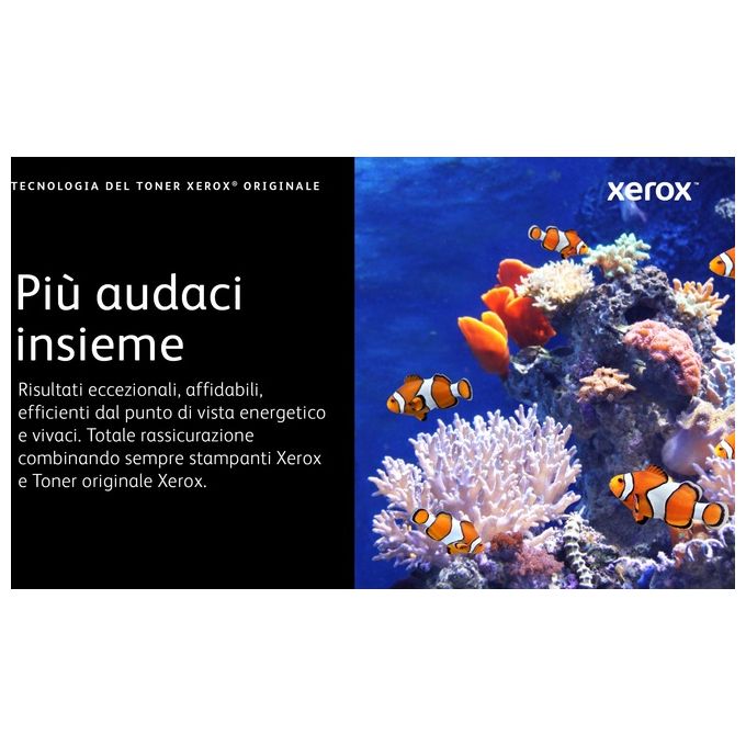 Xerox Toner Nero da 20.000 Pagine per B305 - B310 - B315