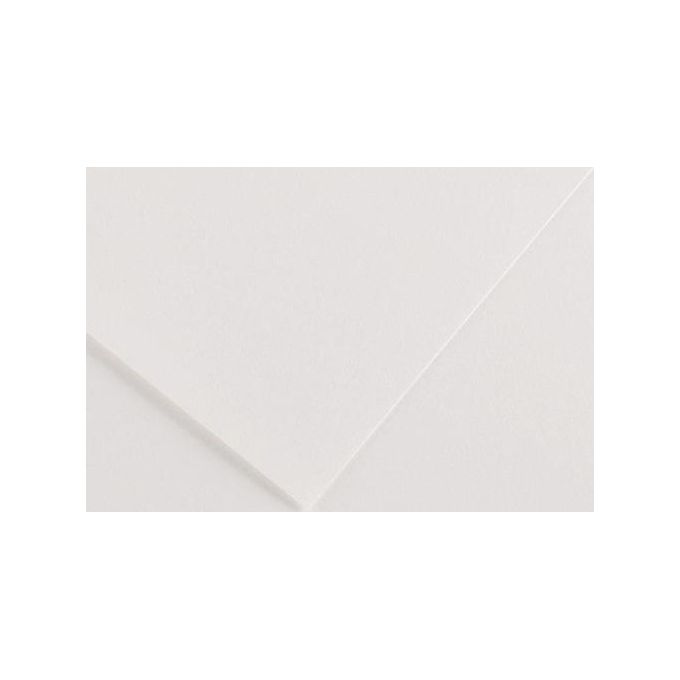 Canson Confezione 25 Fogli Colorline 70x100cm Bianco