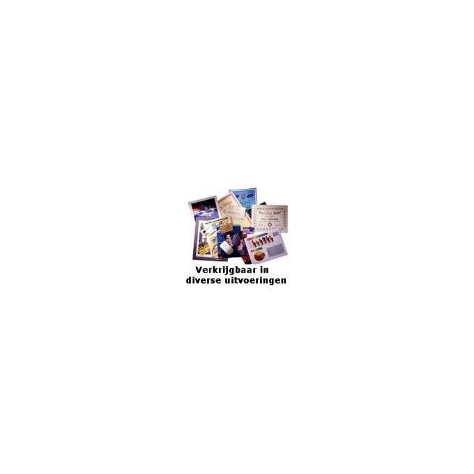 Gbc Pouches Per Plastificatrici 2x250 Micron A3 (conf.50)