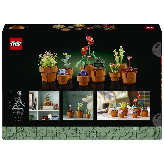 LEGO Icons 10329 Piantine, Collezione Botanica con Fiori Artificiali, Decorazione Casa, Idea Regalo di Compleanno Donna o Uomo