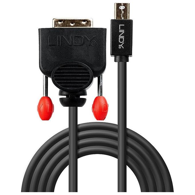 Lindy Cavo Mini Displayport a Dvi-D Nero 2mt