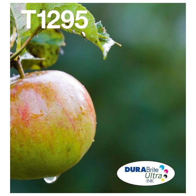 Epson Multipack T129 EasyMail Confezione da 4 taglia L nero, giallo, cyan, magenta originale blister cartuccia inchiostro per Stylus SX230, SX235, SX430, SX438, WorkForce WF-3010, 3520, 3530, 3540, 7015, 7515, 7525