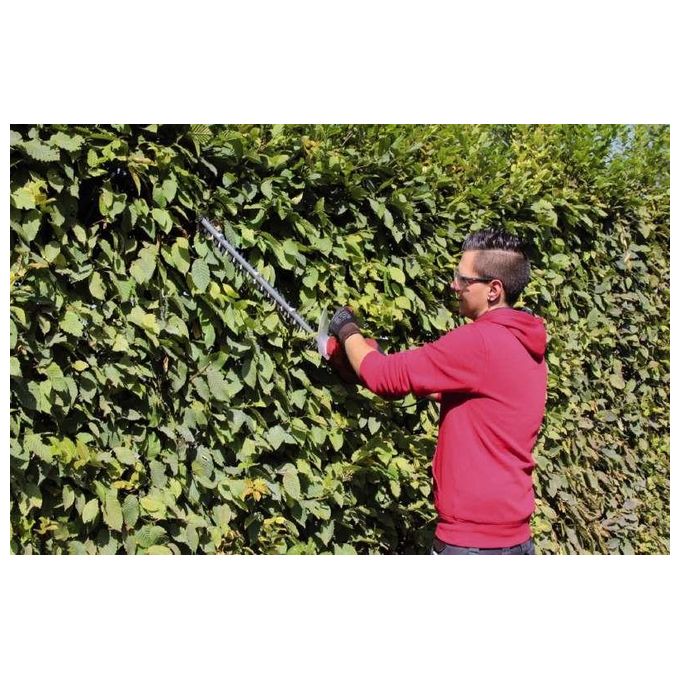Einhell Tagliasiepi 550W GC-EH5550 per Potatura Efficiente delle Piante nel Giardino