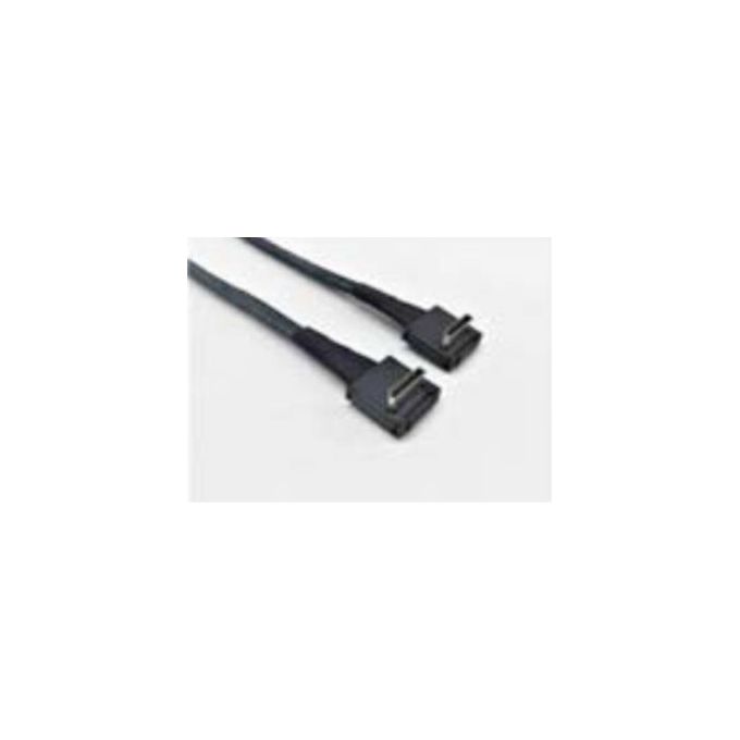 Intel AXXCBL620CRCR Cavo Serial Attached SCSI (SAS) 0.62mt Nero